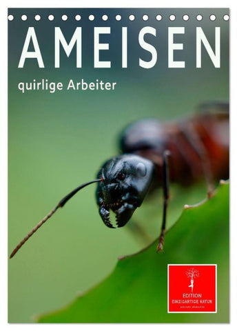 Ameisen quirlige Arbeiter (Tischkalender 2027 DIN A5 hoch), CALVENDO Monatskalender