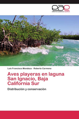 Aves playeras en laguna San Ignacio, Baja California Sur