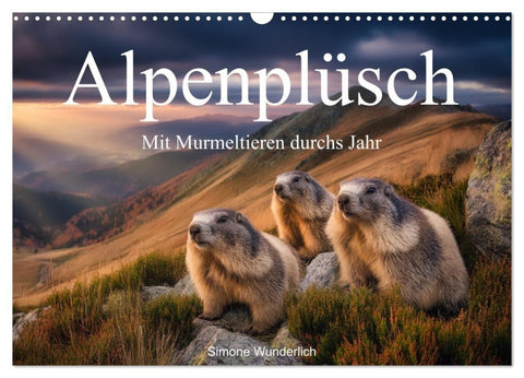 Alpenplüsch - Mit Murmeltieren durchs Jahr (Wandkalender 2027 DIN A3 quer), CALVENDO Monatskalender