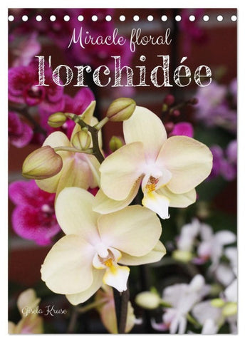 Miracle floral l'orchidée (Calendrier de bureau 2026 DIN A5 horizontal), CALVENDO calendrier mensuel