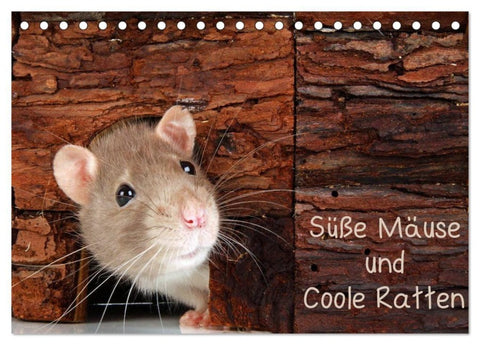 Süße Mäuse und Coole Ratten (Tischkalender 2027 DIN A5 quer), CALVENDO Monatskalender