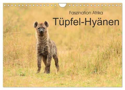 Faszination Afrika: Tüpfel-Hyänen (Wandkalender 2026 DIN A4 quer), CALVENDO Monatskalender