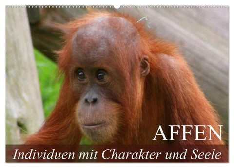 Affen - Individuen mit Charakter und Seele (Wandkalender 2027 DIN A2 quer), CALVENDO Monatskalender