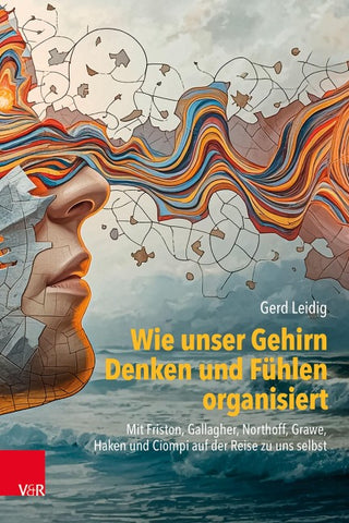 Wie unser Gehirn Denken und Fühlen organisiert