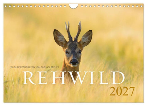 Rehwild 2027 (Wandkalender 2027 DIN A4 quer), CALVENDO Monatskalender