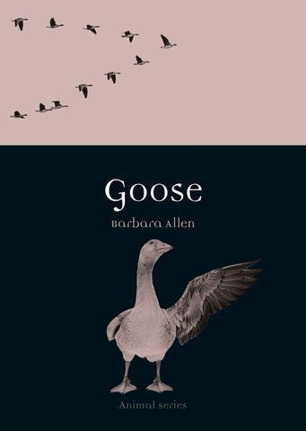 Goose