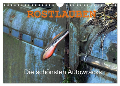 ROSTLAUBEN Die schönsten Autowracks (Wandkalender 2027 DIN A4 quer), CALVENDO Monatskalender