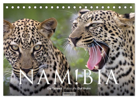 Namibia - Die Tierwelt (Tischkalender 2027 DIN A5 quer), CALVENDO Monatskalender