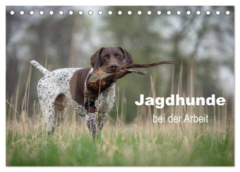 Jagdhunde bei der Arbeit (Tischkalender 2027 DIN A5 quer), CALVENDO Monatskalender