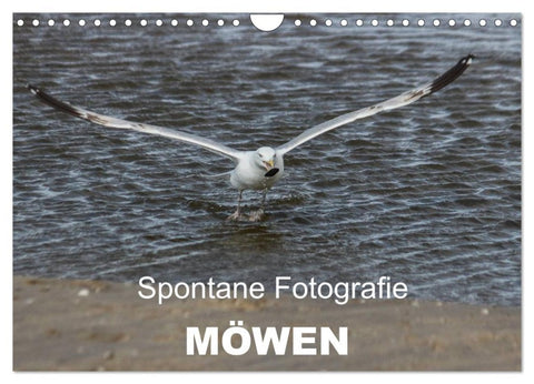 Spontane Fotografie - Möwen (Wandkalender 2026 DIN A4 quer), CALVENDO Monatskalender