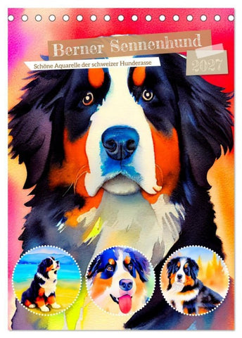 Berner Sennenhund 2027. Schöne Aquarelle der schweizer Hunderasse (Tischkalender 2027 DIN A5 hoch), CALVENDO Monatskalender