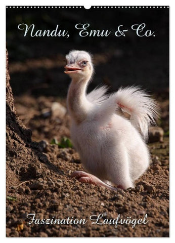 Nandu, Emu & Co. (Wandkalender 2027 DIN A2 hoch), CALVENDO Monatskalender