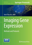 Imaging Gene Expression