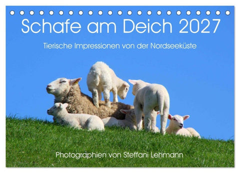 Schafe am Deich 2027. Tierische Impressionen von der Nordseeküste (Tischkalender 2027 DIN A5 quer), CALVENDO Monatskalender