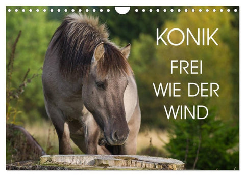 Konik - Frei geboren (Wandkalender 2027 DIN A4 quer), CALVENDO Monatskalender
