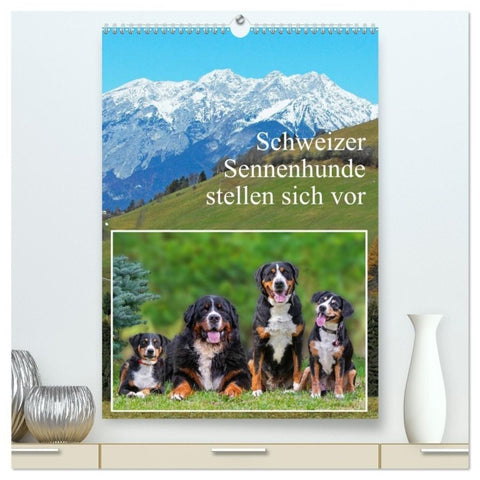 Schweizer Sennenhunde stellen sich vor (hochwertiger Premium Wandkalender 2027 DIN A2 hoch), Kunstdruck in Hochglanz