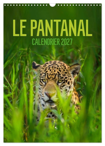 Le Pantanal (Calendrier mural 2027 DIN A3 horizontal), CALVENDO calendrier mensuel