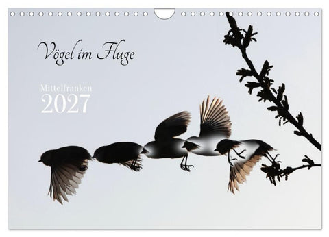 Vögel im Fluge (Wandkalender 2027 DIN A4 quer), CALVENDO Monatskalender