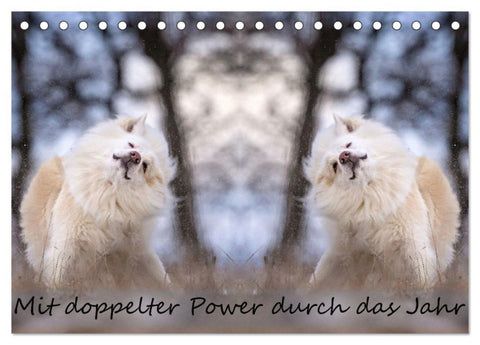 Mit doppelter Power durch das Jahr (Tischkalender 2026 DIN A5 quer), CALVENDO Monatskalender