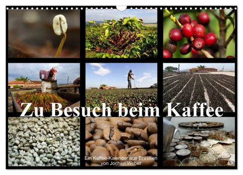 Zu Besuch beim Kaffee (Wandkalender 2027 DIN A3 quer), CALVENDO Monatskalender