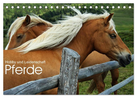 Pferde - Hobby und Leidenschaft (Tischkalender 2027 DIN A5 quer), CALVENDO Monatskalender