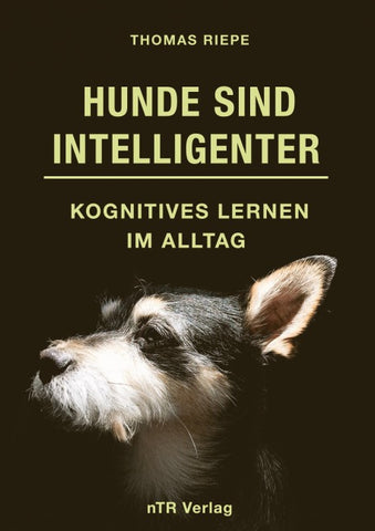 Hunde sind Intelligenter