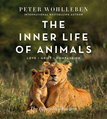 The Inner Life of Animals