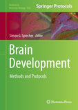 Brain Development