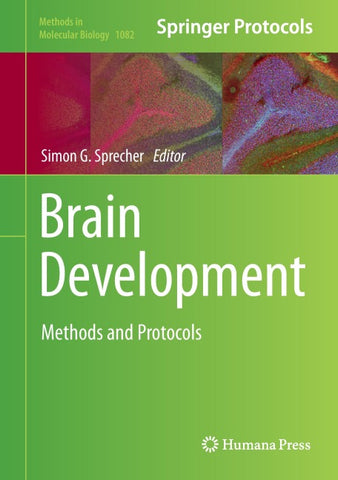 Brain Development