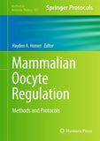 Mammalian Oocyte Regulation