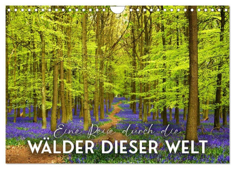 Eine Reise durch die Wälder dieser Welt (Wandkalender 2027 DIN A4 quer), CALVENDO Monatskalender