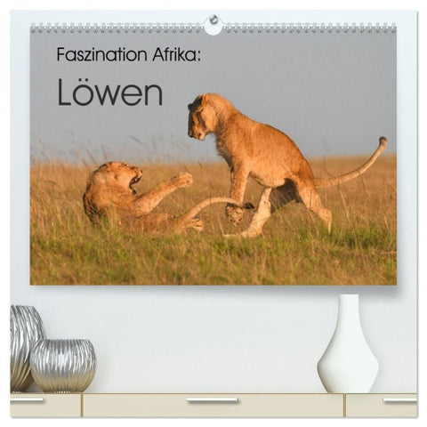 Faszination Afrika: Löwen (hochwertiger Premium Wandkalender 2027 DIN A2 quer), Kunstdruck in Hochglanz