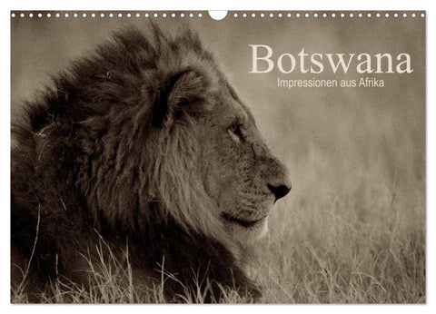 Botswana - Impressionen aus Afrika (Wandkalender 2026 DIN A3 quer), CALVENDO Monatskalender