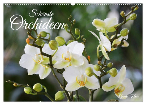 Schönste Orchideen (Wandkalender 2027 DIN A2 quer), CALVENDO Monatskalender