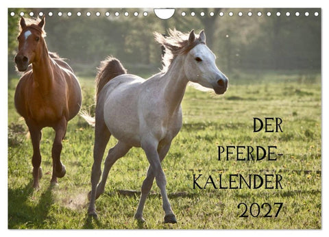 Pferdekalender (Wandkalender 2027 DIN A4 quer), CALVENDO Monatskalender