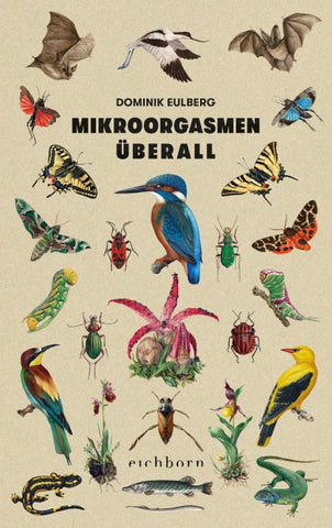 Mikroorgasmen überall
