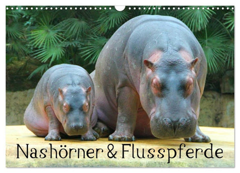 Nashörner & Flusspferde (Wandkalender 2026 DIN A3 quer), CALVENDO Monatskalender