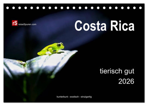 Costa Rica tierisch gut 2026 (Tischkalender 2026 DIN A5 quer), CALVENDO Monatskalender