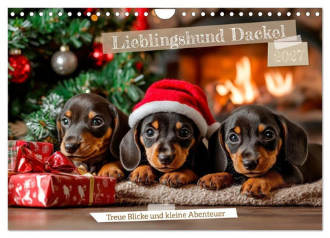 Lieblingshund Dackel (Wandkalender 2027 DIN A4 quer), CALVENDO Monatskalender