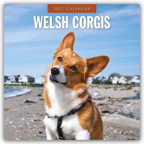 Welsh Corgis – Welsh Corgi 2027 – 16-Monatskalender