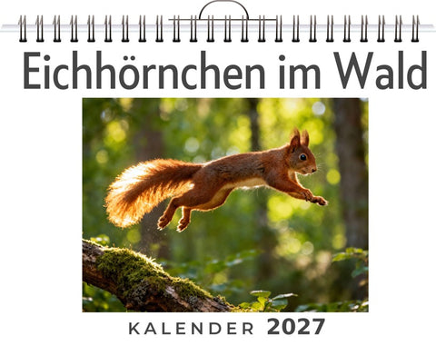 Eichhörnchen im Wald