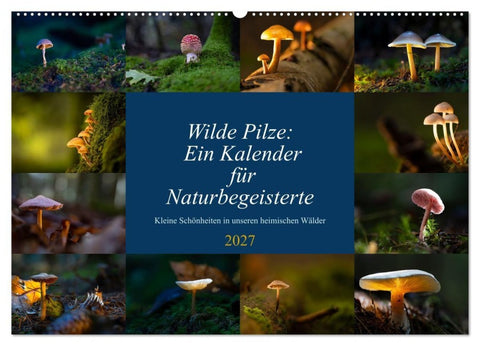 Wilde Pilze: Ein Kalender für Naturbegeisterte (Wandkalender 2027 DIN A2 quer), CALVENDO Monatskalender