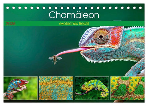 Chamäleon - exotisches Reptil (Tischkalender 2026 DIN A5 quer), CALVENDO Monatskalender