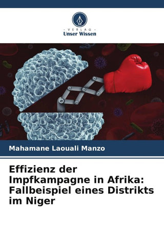 Effizienz der Impfkampagne in Afrika: Fallbeispiel eines Distrikts im Niger