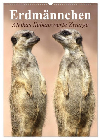 Erdmännchen - Afrikas liebenswerte Zwerge (Wandkalender 2027 DIN A2 hoch), CALVENDO Monatskalender