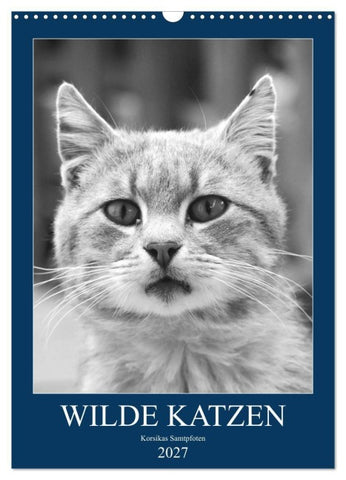 Wilde Katzen - Korsikas Samtpfoten (Wandkalender 2027 DIN A3 hoch), CALVENDO Monatskalender