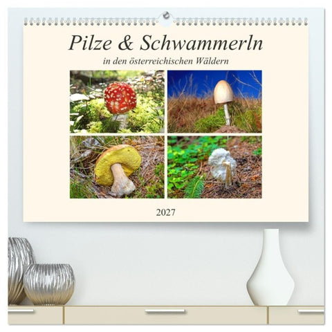 Pilze & Schwammerln (hochwertiger Premium Wandkalender 2027 DIN A2 quer), Kunstdruck in Hochglanz