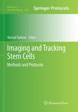 Imaging and Tracking Stem Cells
