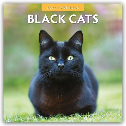 Black Cats – Schwarze Katzen 2027 – 16-Monatskalender