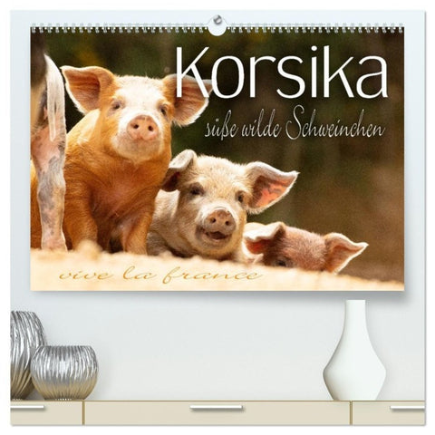 Korsika - süße, wilde Schweinchen (hochwertiger Premium Wandkalender 2027 DIN A2 quer), Kunstdruck in Hochglanz